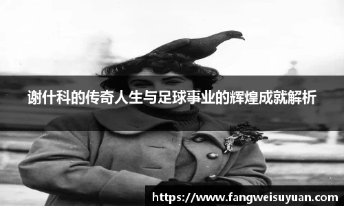 中国·BB贝博艾弗森