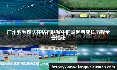 BB贝博艾弗森体育