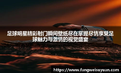 中国·BB贝博艾弗森