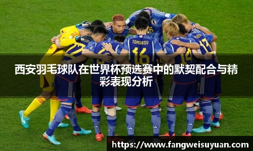 中国·BB贝博艾弗森