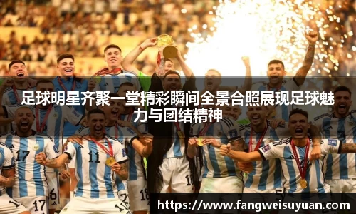 BB贝博艾弗森体育